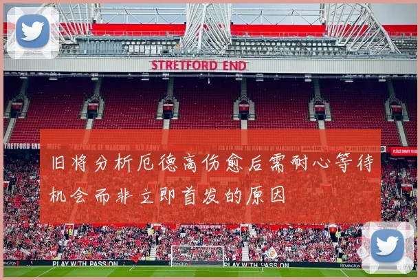 旧将分析厄德高伤愈后需耐心等待机会而非立即首发的原因